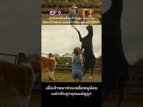 Ep.9 เมื่อเจ้าหมาช่วยเหลือหนูน้อย แต่กลับโดนคุณแม่ดูถูก(สปอยหนัง)
