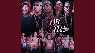 Job LTDA
