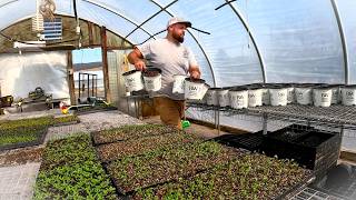 A Huge Farm Day: THOUSANDS of Plants Moved & Part of our Flock Sold