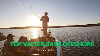 TOPWATER bass offshore!!!!