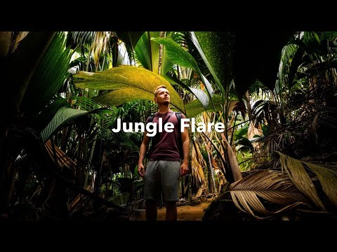 Jungle Flare - Music For Hiking and Travel Videos (Adventure Background Music)