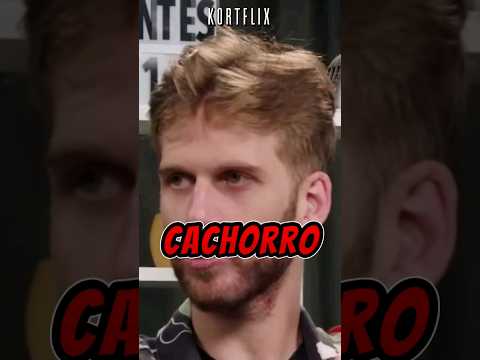CACHORRO QUENTE é COMIDA?