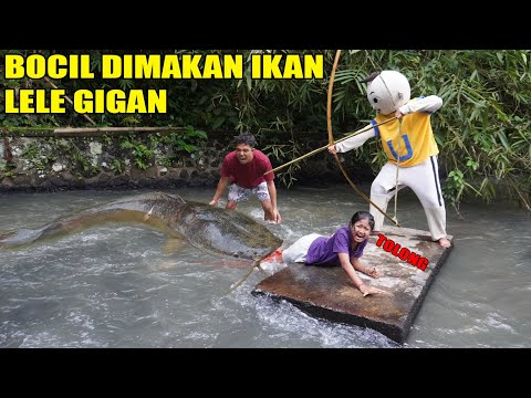 KAKI BOCIL DI MAKAN IKAN LELE GIGAS MONSTER!!?