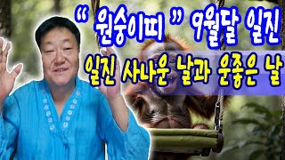 2025년 9둴달 원숭이띠분들의 일진                                  #소원신사 #포항점집 #무당 #무속 #울산점집 #대구점집 #부산점집 #사주 #운세