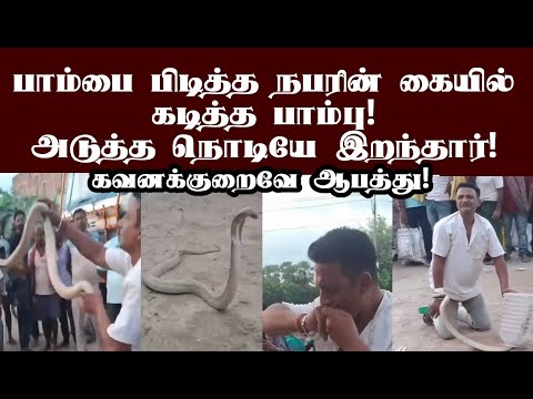 பாம்பை கையில் பிடித்த நபருக்கு நேர்ந்த சோகம்! பாம்பிடம் கவனமாக இருக்க வேண்டும்! #snake #snakecatcher