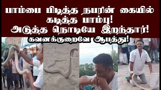 பாம்பை கையில் பிடித்த நபருக்கு நேர்ந்த சோகம்! பாம்பிடம் கவனமாக இருக்க வேண்டும்! #snake #snakecatcher