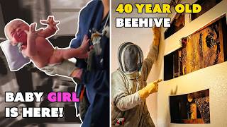 The Oldest Beehive We've Ever Removed + Birth Vlog!