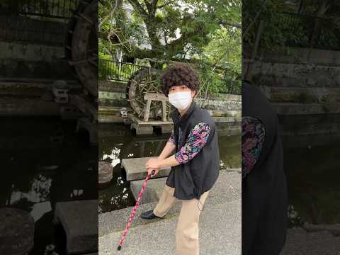 おい笑える in 聖地 #おい笑える #カモうまそう