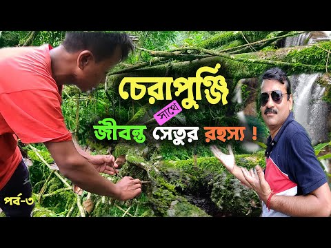 চেরাপুঞ্জি ভ্রমন। পৃথিবীর সবচেয়ে বৃষ্টিপ্রবণ স্থান ও জীবন্ত সেতু । মেঘালয় ভ্রমণ । LIVING ROOT BRIDGE