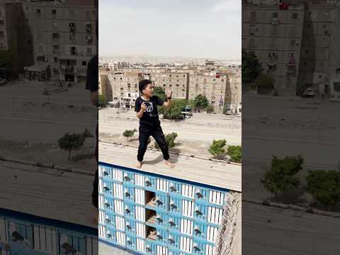 بيطير طيارات
