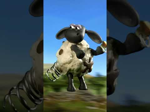 Bath Time๐๐๐ #shorts #shaunthesheep #cartoonforkids #party #animals #preschool