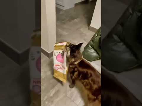 Самообслуживание