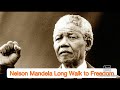 Nelson Mandela and Apartheid History