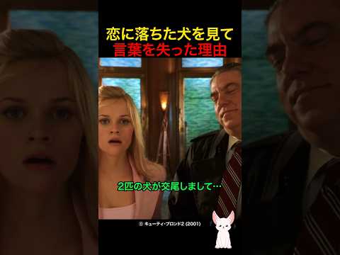 恋に落ちた犬を見て言葉を失った理由