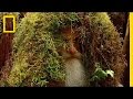 Exploring the Wilderness