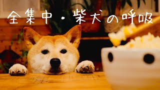内容が全然入ってこないバター醤油とうもろこしご飯の作り方