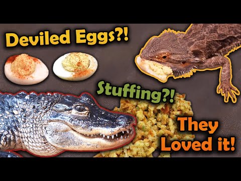 We made our Reptiles Deviled Eggs for Thanksgiving!