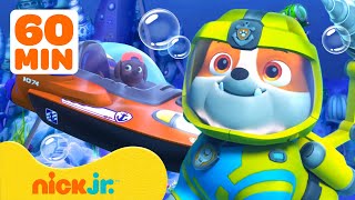 Patrulha Canina | Resgates aquáticos de Rubble e Zuma! | Canina e equipe | 1 hora | Nick Jr.