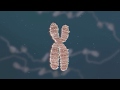 Chromatin Biology and Epigenetics