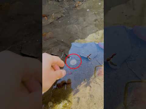 💦how to avoid giving a friend a dirty coin? 😄❤️🍊#shorts #coinwashing