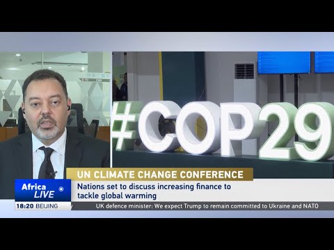 Analyst: Africa must push for better quality in climate financing at COP29