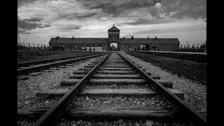 The Holocaust: A History of Decisions, Places, and Moral Collapse with Prof. Stephen M. Berk Part 4