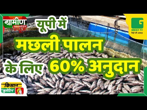 यूपी में मछली पालन के लिए 60% अनुदान | Kisan Bulletin