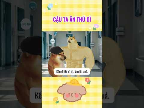 Cậu ta ăn thứ gì | Cheems thiên tài #giaitri #cheems