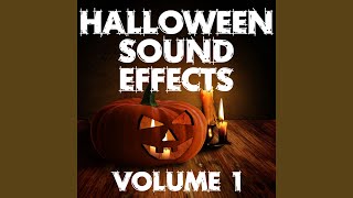 Rattling Chains with Echo