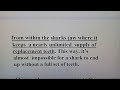 Non-Fiction Summary and Shark Facts