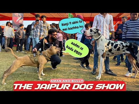 Jaipur Biggest dog show mei Kya kya dikha Bully aur Aman ko 🤯 - Year 2025