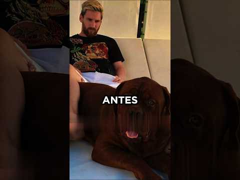 Antonela cuenta la dura decisión que tuvo que tomar Leo Messi con Hulk 💔