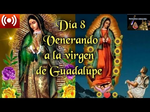 Día 8 venerando a la Virgen de Guadalupe en sus apariciones .