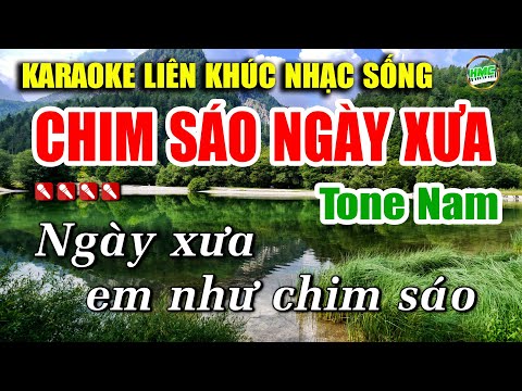 Karaoke Liên Khúc Chim Sáo Ngày Xưa Nhạc Sống Cha Cha Cha Cực Dễ Hát | Nhạc Trữ Tình 2024