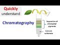 Chromatography Concepts and Applications