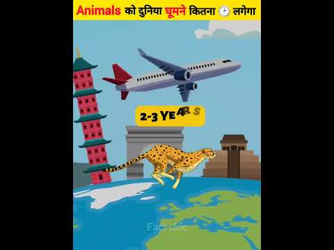 Animals рдХреЛ рджреБрдирд┐рдпрд╛ рдШреВрдордиреЗ рдХрд┐рддрдирд╛ рдЯрд╛рдЗрдо рд▓рдЧреЗрдЧрд╛ | Different Animals Traveling Around Earth | #shorts