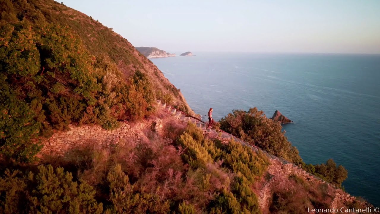 pink drone