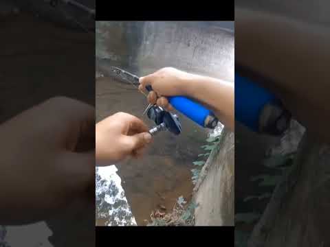 Pesca al BORDE de CARRETERA #pesca