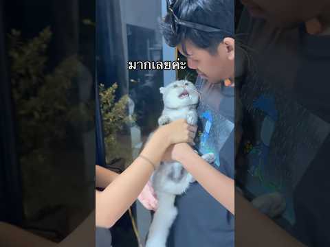 ใครที่บอกบูจาก้าวร้าว 🥹 เค้าก็เป็นเด็กคนนึงที่รำคาญแค่นังแจ่ #บูจาไม่รักแม่