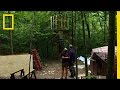 Treehouse Design and Functionality