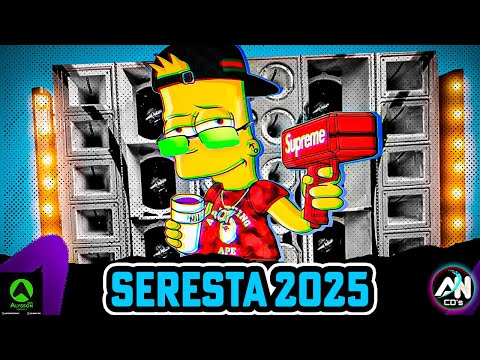 MELHORES SERESTA 2025 - AS MAIS TOCADAS DO TIK TOK 2025 - MÚSICAS DE SERESTA 2025 - PRA PAREDÃO