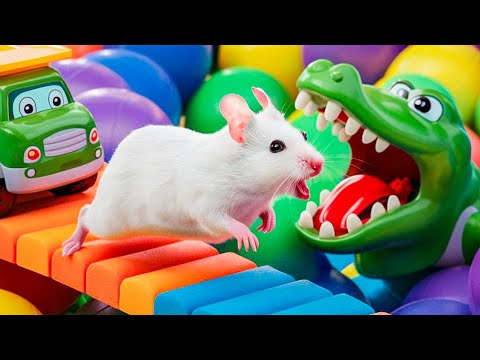 😱 Hamster Escape Maze - Hamster Cute pets Maze #hamsterescape #mazediytraps #530