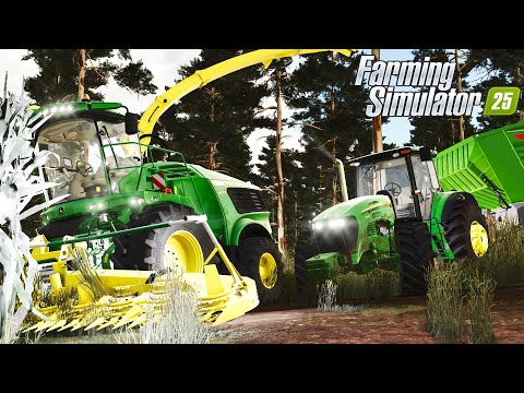 GRANDES IMPREVISTOS NO CORTE DA SILAGEM | Paraíso Mineiro | Farming Simulator 25
