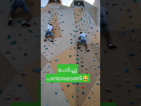 റോക്ക് ക്ലൈമ്പിങ് ചാമ്പ്യൻ ?? #rockclimbing #shorts