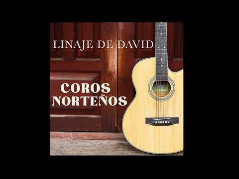 Linaje De David - Entenderemos