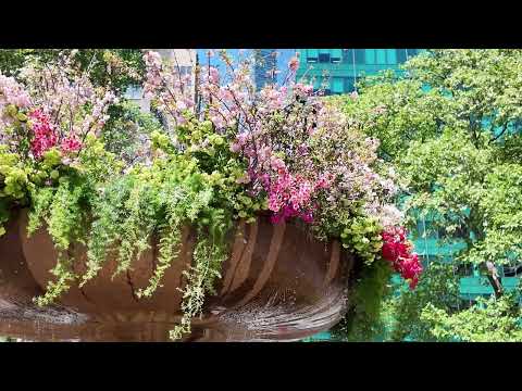 Bryant Park Fountain in Bloom Sprint New York City