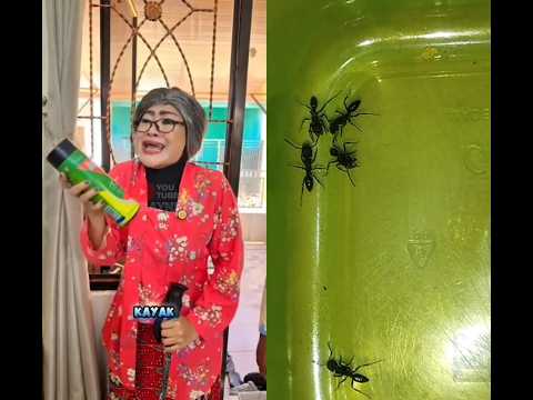 BOTOL MINUMNYA ANEH SEKALI NUR #funny #trending #nurrayni25
