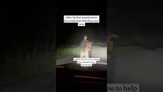 I Thought I Was Rescuing A Sick Coyote