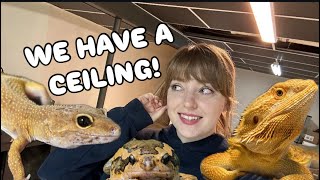 The Reptile Room Is FINISHED!