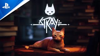 Limited edition Stray themed cat backpack and harness announced